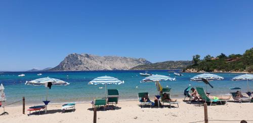 Capo Coda Cavallo Apartment | Discover RESIDENZE Coda Cavallo - Le Farfalle with Ocean Views