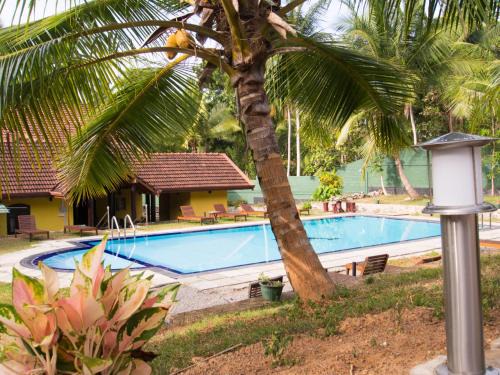 Minuwangoda Hotel | Unique Resort Experience with Pool & Pet-Friendly Amenities