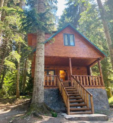Glola Apartment | Inviting Rest House: Family-Friendly with Kitchen Amenities