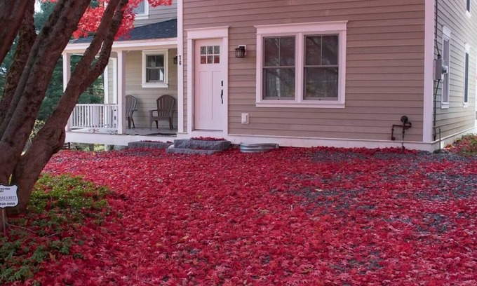 Lenox House | Historic 1881 Farm House: Guest Rated 9.8, Pet Friendly Stay
