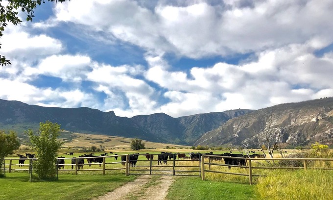 Story Other | Discover Tranquil Retreat at Big Horn Mountains Base