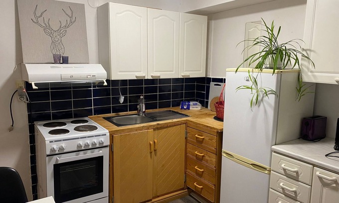 Lieto Apartment | Retro Hideaway 40 min from Turku