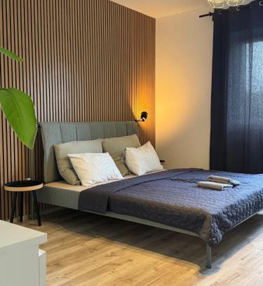 Ostrava Apartment | Rezidence MAHENOVA 1
