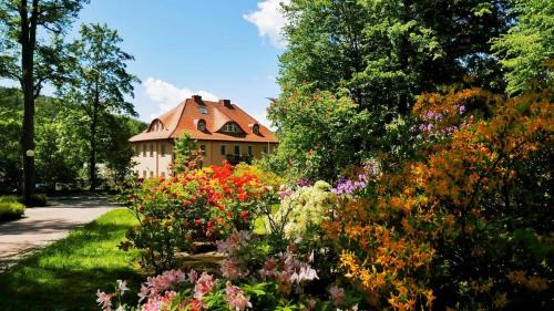 Ladek-Zdroj Apartment | Discover Rezydencja Grawert Boutique & Spa: Ocean View Retreat