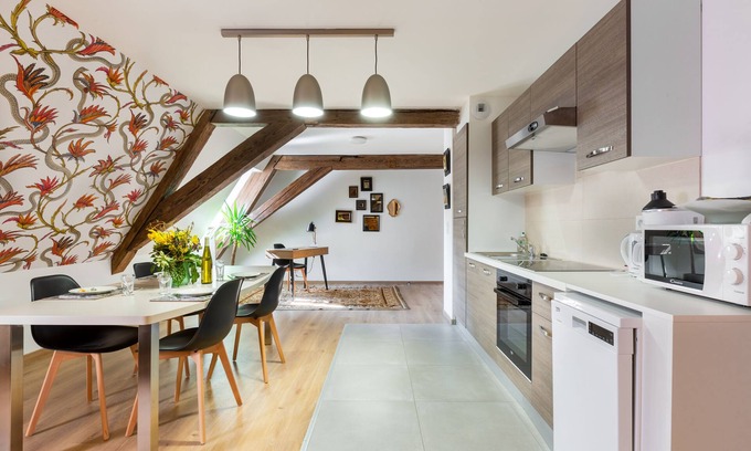 Selestat Apartment | RHENANUS: Hans Sapidus - Pet-Friendly with Great Amenities