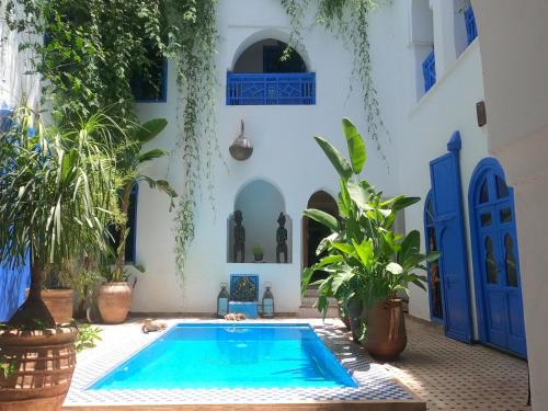 Diour Jdad House | Experience Riad Chameleon: 4-Star Oceanfront Getaway