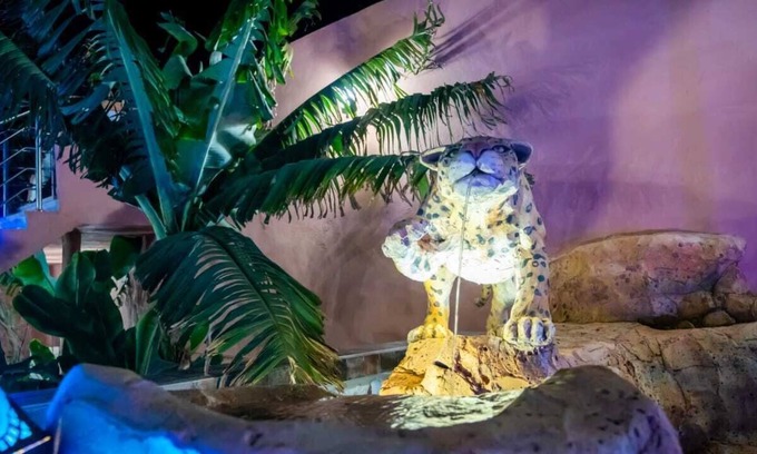 Agadir House | Experience Riad dar salam: Ocean Views & Relaxing Spa