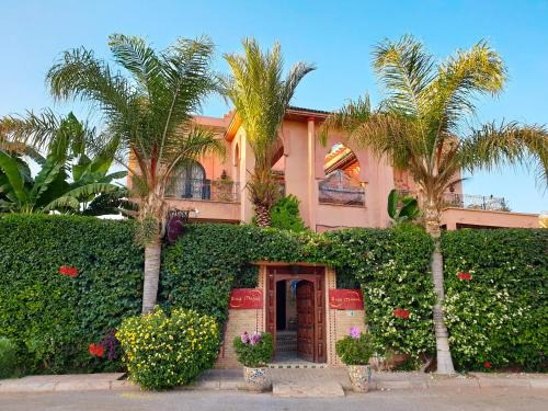 Semlalia House | Riad Mazal: Oceanfront Retreat with Spa & Pool Amenities