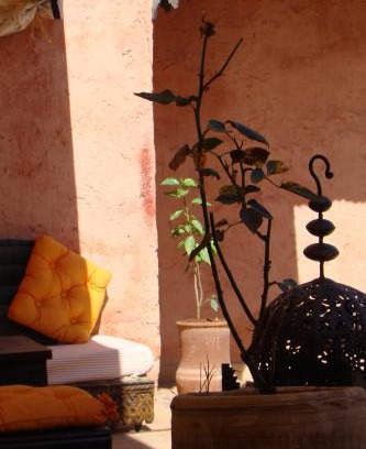 Meknes Medina House | Relax at Riad Menthe Et Citron with Oceanfront Views