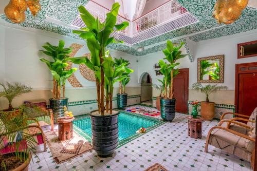 Medina House | Riad Mokha Mokha & Spa