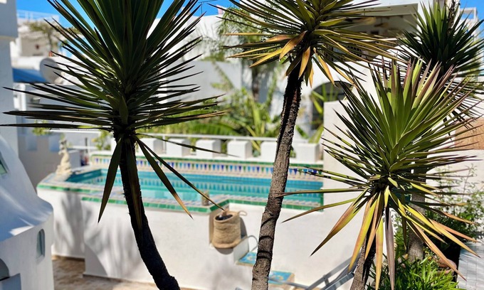 Medina House | Enjoy Ocean Views at Riad Oasis d'Asilah with Pool & Spa