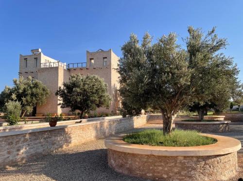 Ounagha Bed & Breakfast | Experience RIAD SABIDI: Rated 9.5, Oceanfront Oasis!