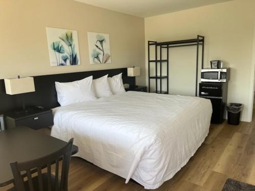Richland Hotel | Convenient Richland Inn and Suites: Pet & Child Friendly Stay