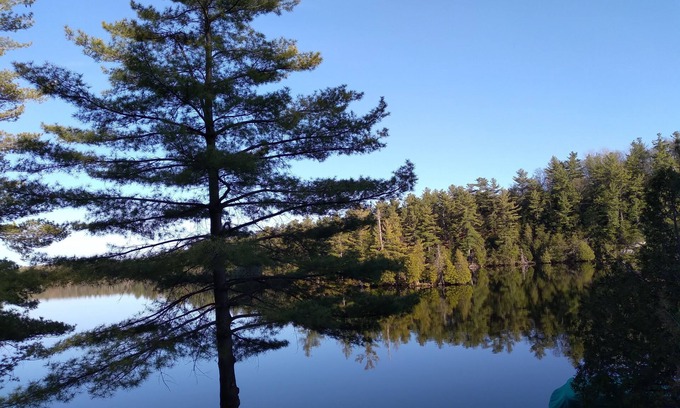 Rideau Lakes Cottage | Experience Scott Island on the Beautiful Rideau Canal