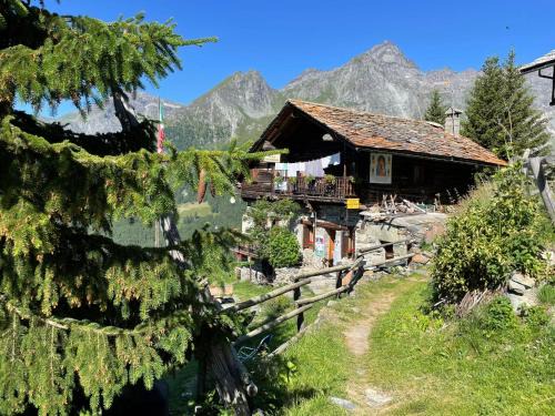 Ayas Hotel | Pet-Friendly Retreat at Rifugio Guide Frachey - Breakfast Included