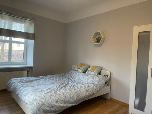 Maskavas Forstate Apartment | Riga Apartment near City Centre