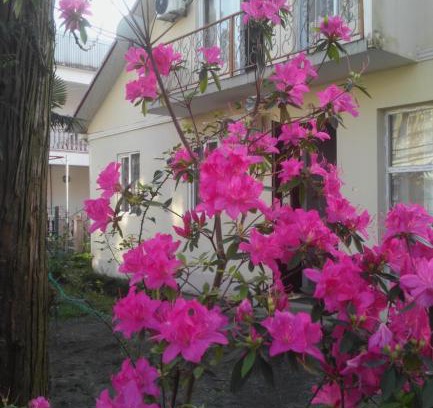 Kobuleti House | Rimma's Place: Top-Rated, Pet-Friendly Stay with Breakfast