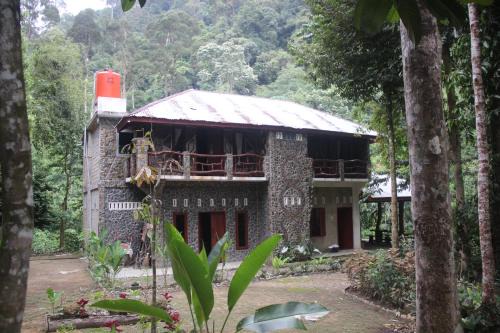Bohorok Villa | Explore Rinte Green Village with Jungle Trekking Adventures