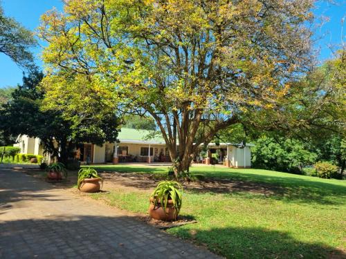 uMhlathuze House | Experience Rise and Shine Felixton: Guest Rated 9.5/10!