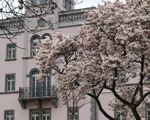Meissen House | Pet-Friendly Retreat at Rittergut Rottewitz - Rated 9.8/10