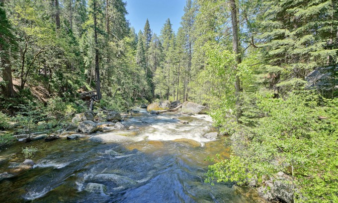 Kyburz Cabin | Riverside Retreat: Guest Rated 9.8 with Ocean Views