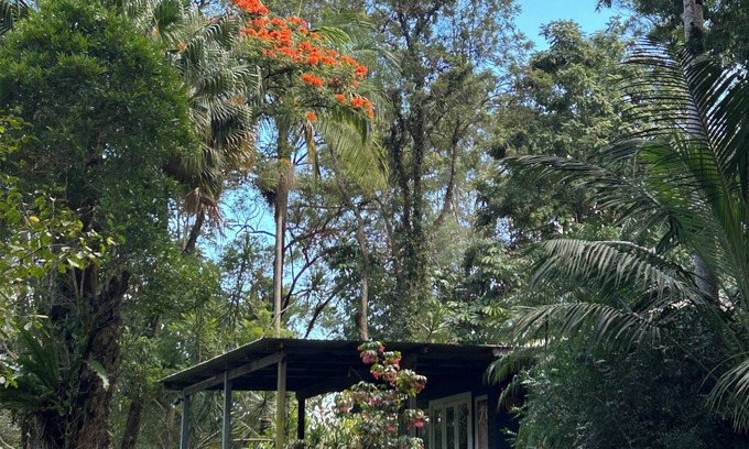 Federal Cottage | Eco-Friendly River House in Byron Bay Hinterland - 9.6/10