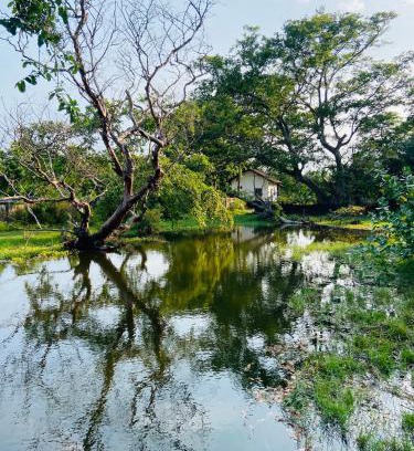 Pottuvil Division 2 Resort | River Park Resort Arugambay