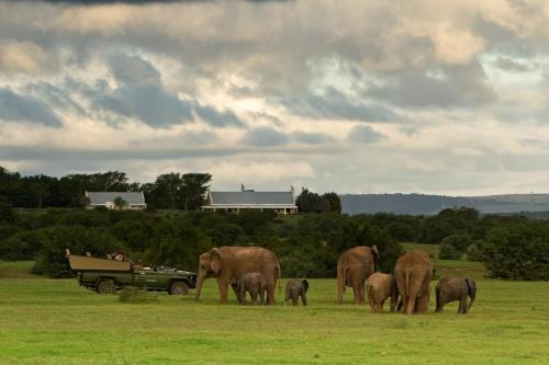 Addo Cabin | Elegant River Bend Lodge: 5-Star Stay with Comforts
