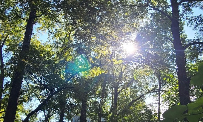 Eureka Springs RV Rental | Experience Riverfront Treehouse Camp: Rated 10/10 Stay