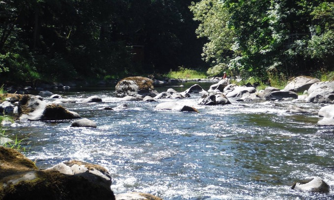 Battle Ground Cottage | Idyllic Riverside Cottage on East Fork Lewis River - 9.8 Rating