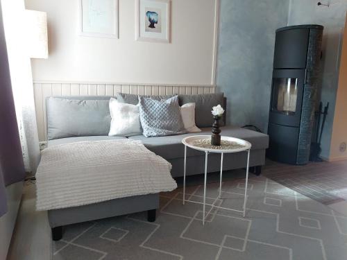 Tahkovuori Apartment | Rivitalon Lomahuoneisto: Pet-Friendly Retreat in Tahko