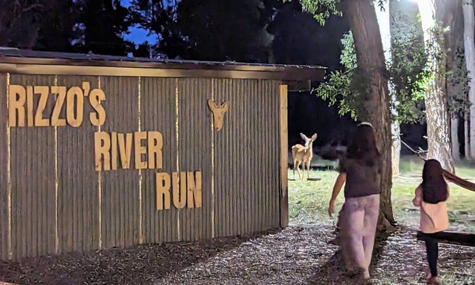 Hatch House | Rizzo's River Run: Ideal Family Guest House with Kitchen