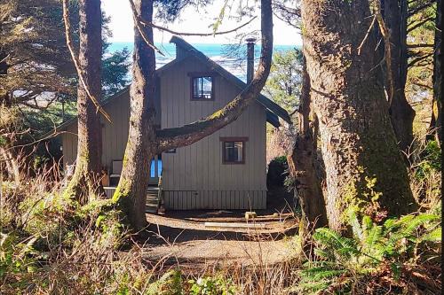 Copalis Beach House | Pet-Friendly Rocks Cabin with Oceanfront Views & High Ratings