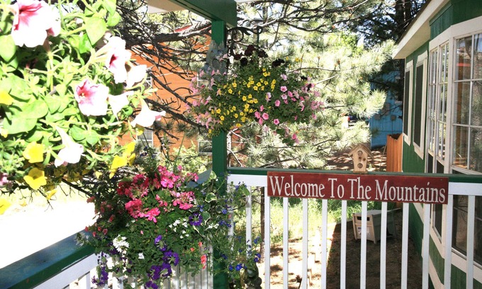 Estes Park House | Explore Rocky Mountain Paradise: Guest Rated 9.8 & Pet Friendly