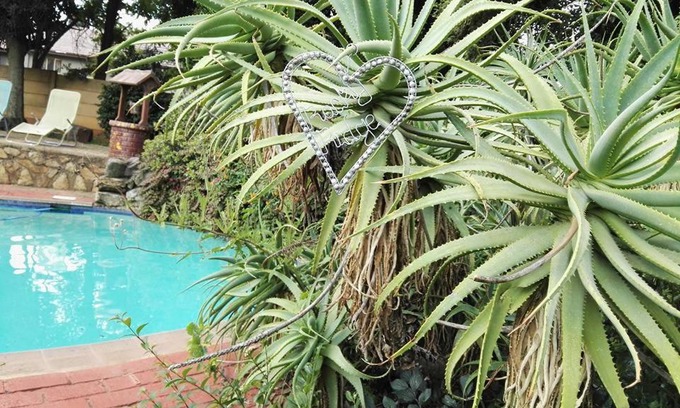 Constantia Kloof Apartment | Discover Rocky Ridge Guest House: Family-Friendly Retreat