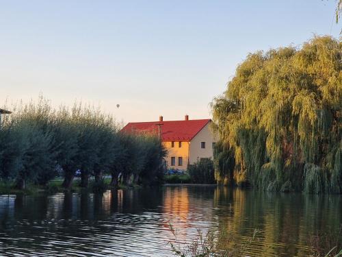 Hlusovice Villa | Family House by the Pond Near Olomouc - Rated 10/10!