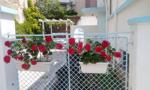 Old Town House | Romantic Getaway with Pet-Friendly Amenities & High Ratings