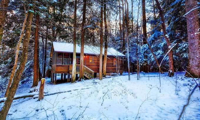 Lansing Cabin | Romantic Cabin with Hot Tub Near National Park - Guest Rated 9.8