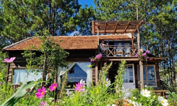 Da Lat Ski Chalet | Enchanting Retreat on Pine Hill in Dalat - Guest Rated 9.5