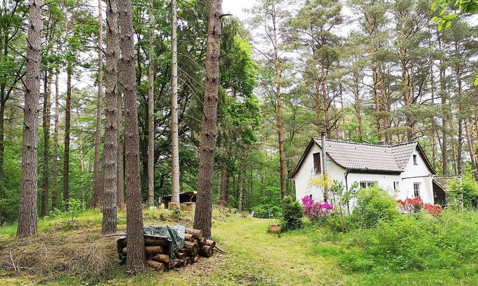 Hausbruch House | Enchanting Forest Retreat with Pool and Breakfast Included