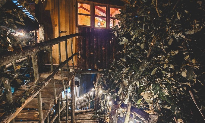 Mineral del Chico Cabin | Romantic treehouse with forest view and extensive green areas