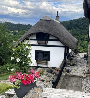Mestecko House | Romantický dům u Křivoklátu