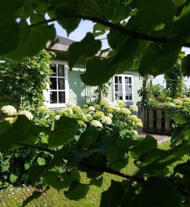 Municipality of Den Helder House | Cozy Beachside Cottage with Pet-Friendly Amenities