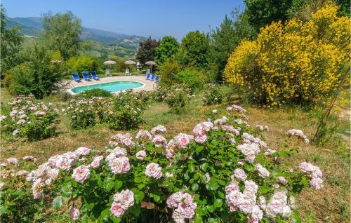 Cagli House | Rondine: Pet-Friendly Retreat with Pool & 9.8/10 Rating