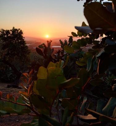 Chiaramonte Gulfi Bed & Breakfast | Inviting Ronnavona Casa Vacanze B&B with Breakfast & Pets