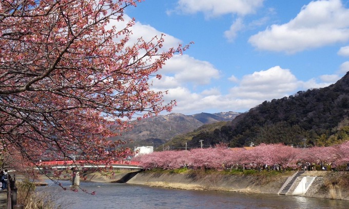 Yatsu Apartment | Guest Rated: Room 101 Apartment in Kamo-gun Shizuoka