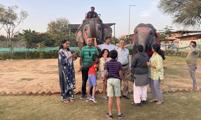 Pink City Villa | Room 2 - You can spend time with elephants by going close them