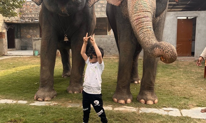 Pink City House | Experience Elephants Up Close in Family-Friendly Room 3