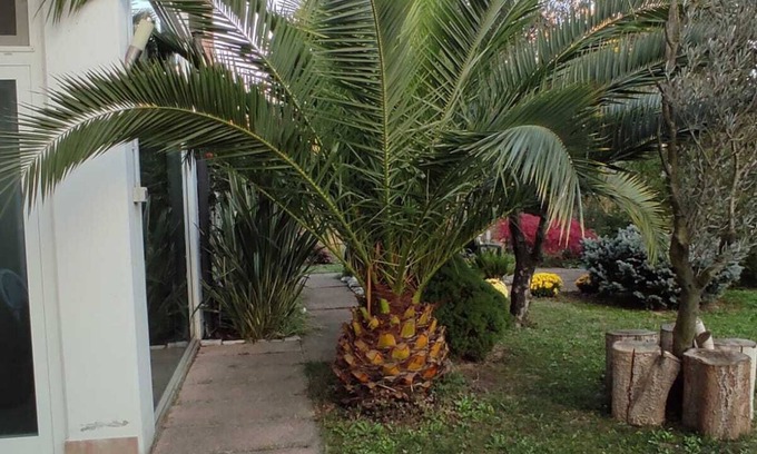 Dese House | Comfortable Room for 2-3 with Spa and Private Bath
