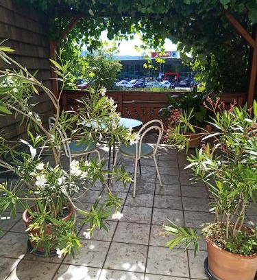 Weyregg am Attersee Apartment | Pet-Friendly Retreat at Rooming Green Weyregg